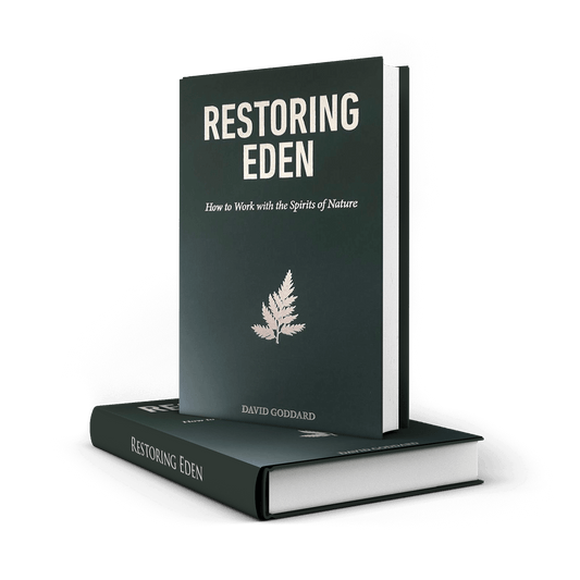 Restoring Eden Book